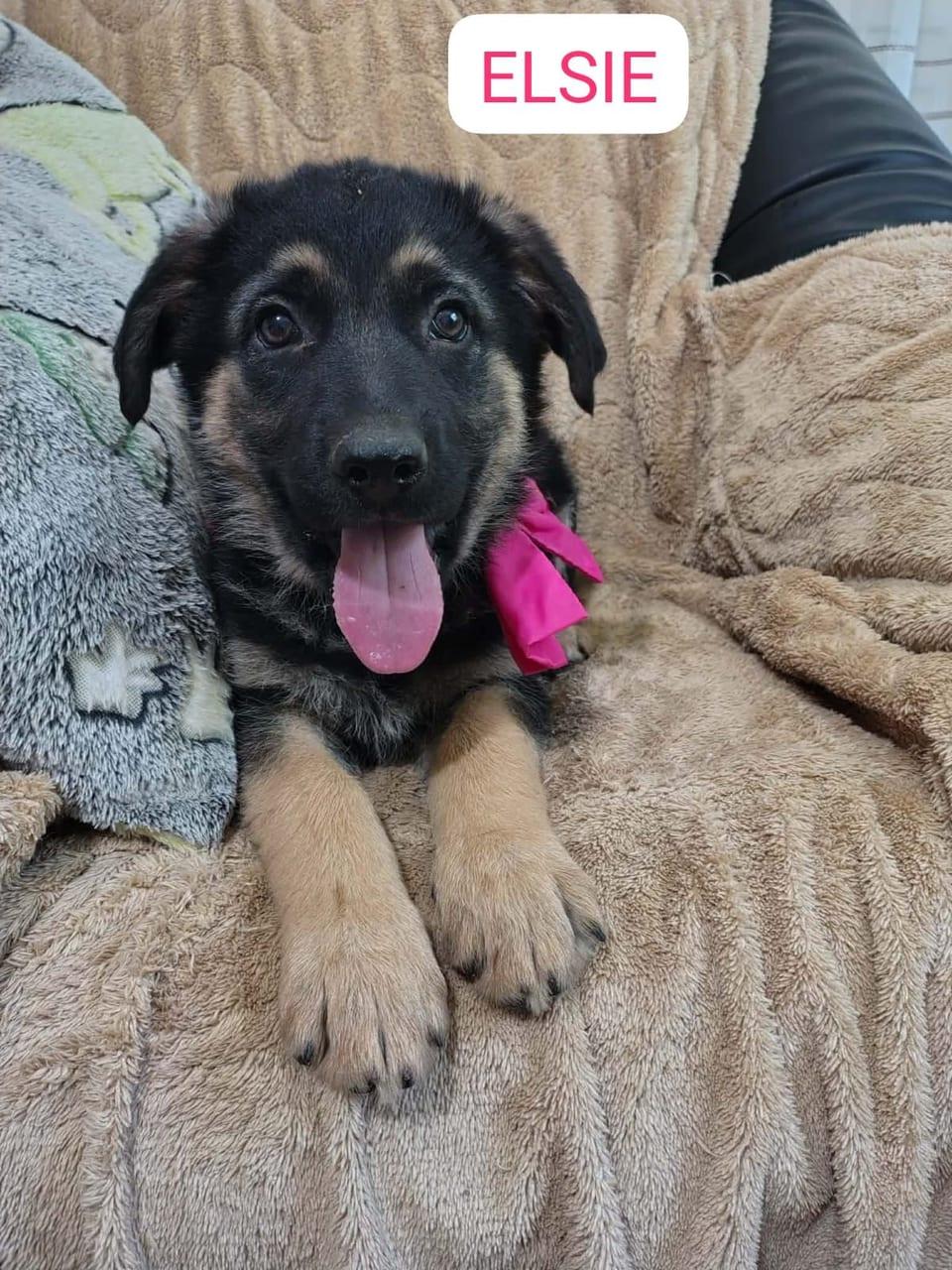Elsie