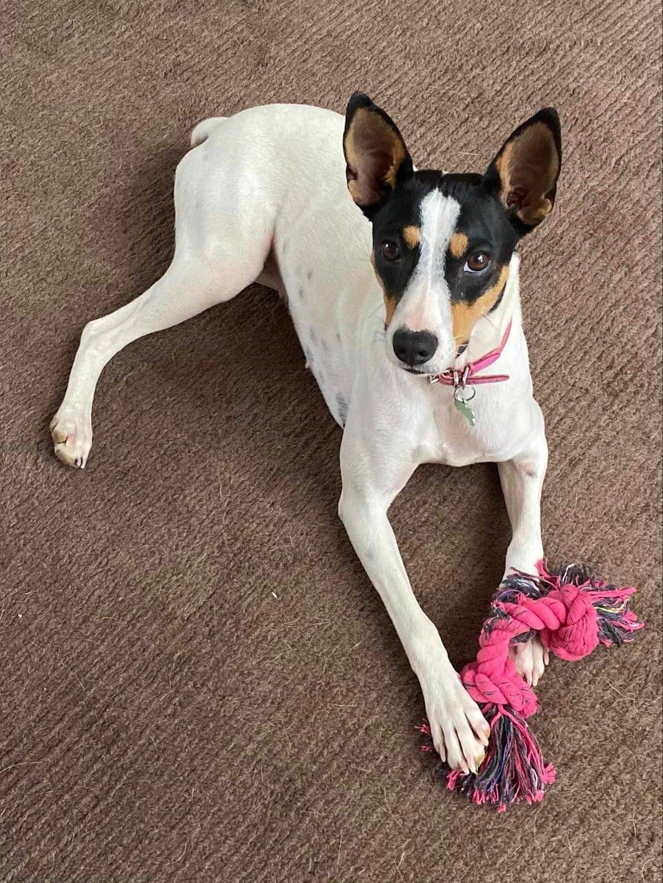 Della