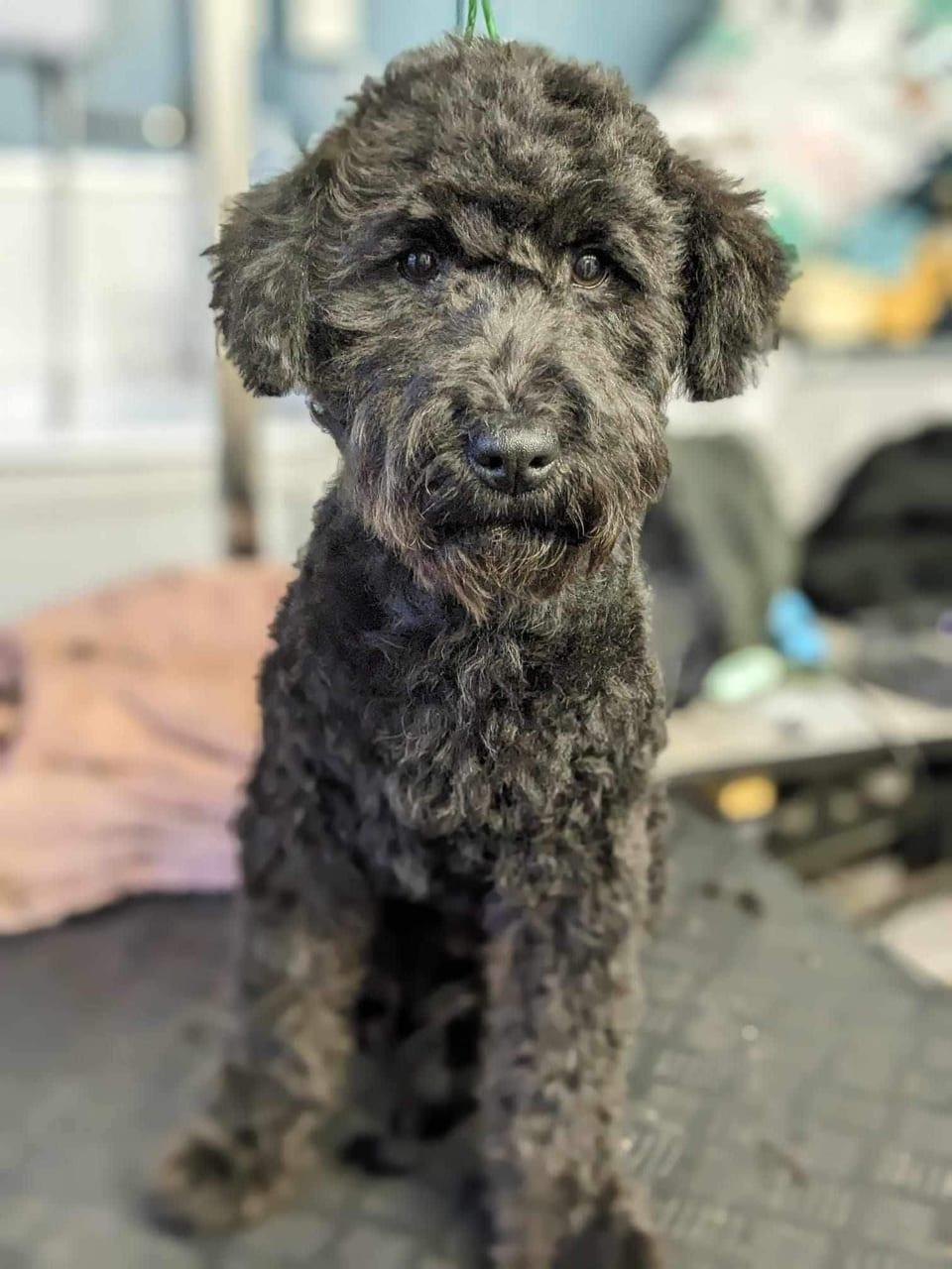 Tilly
