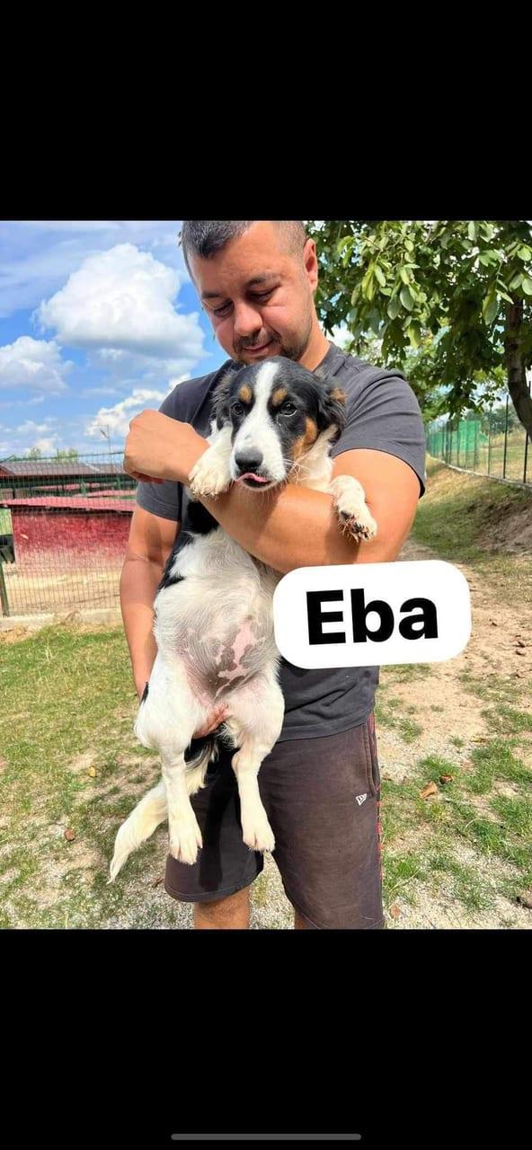 Eba