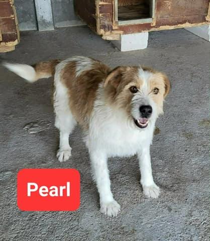 Pearl