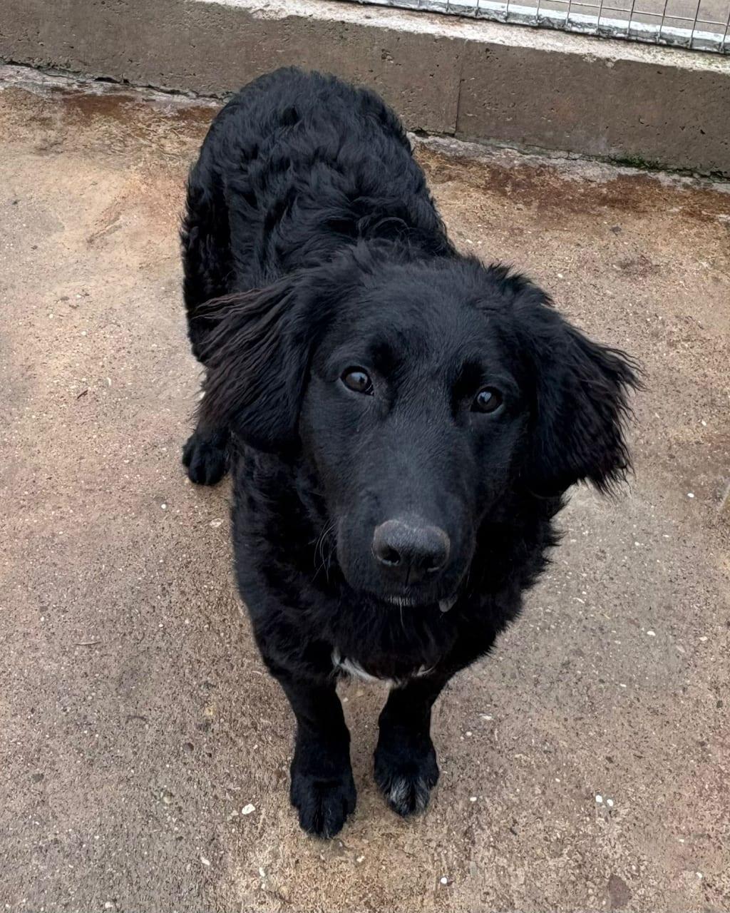 Max