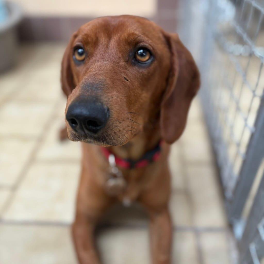 Ruby