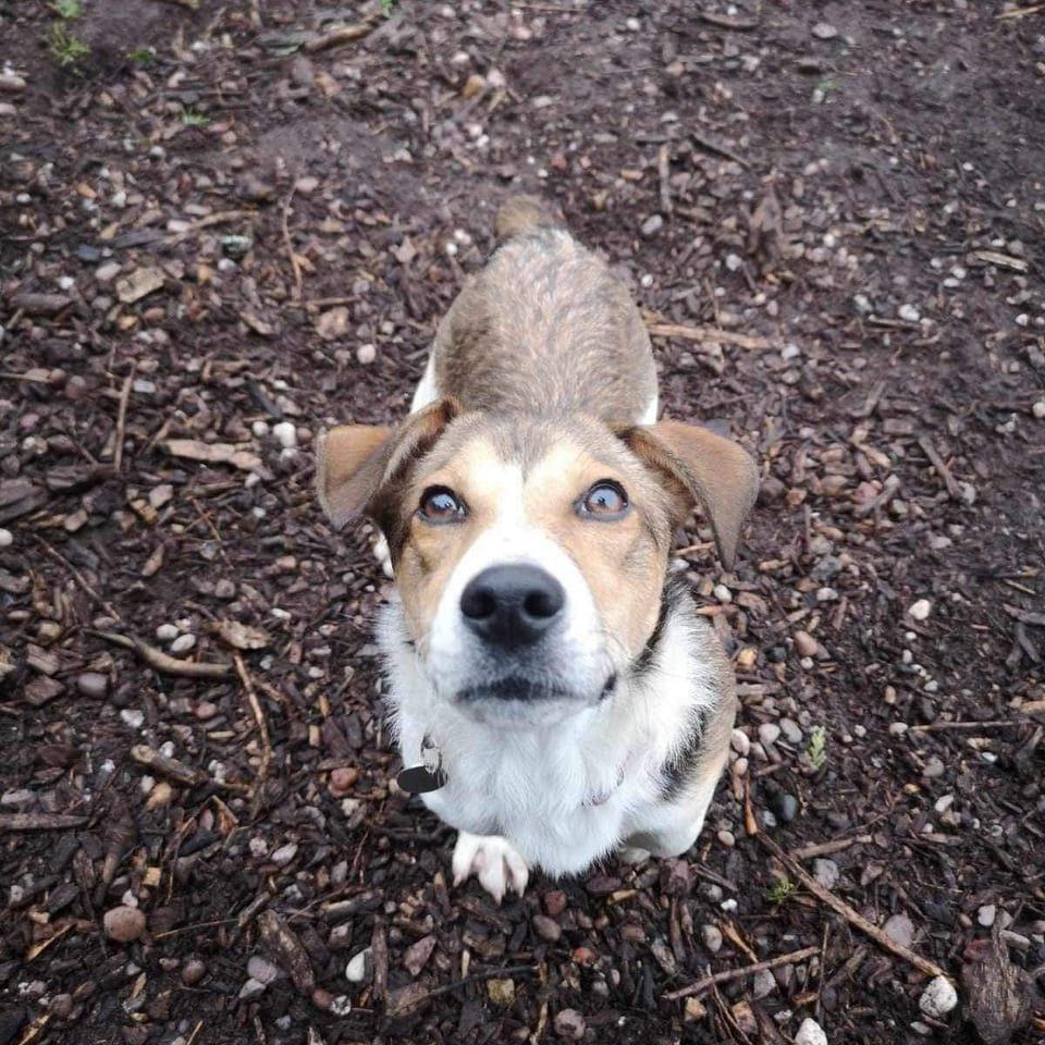 Maggie