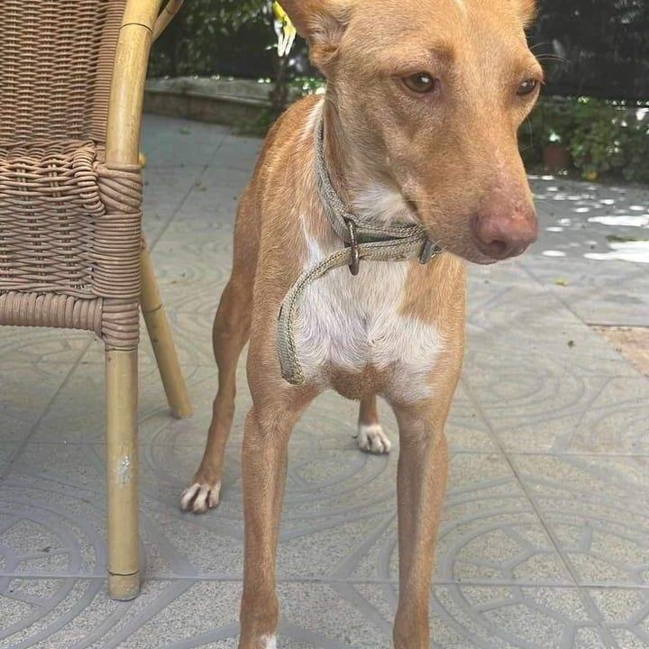 Lili