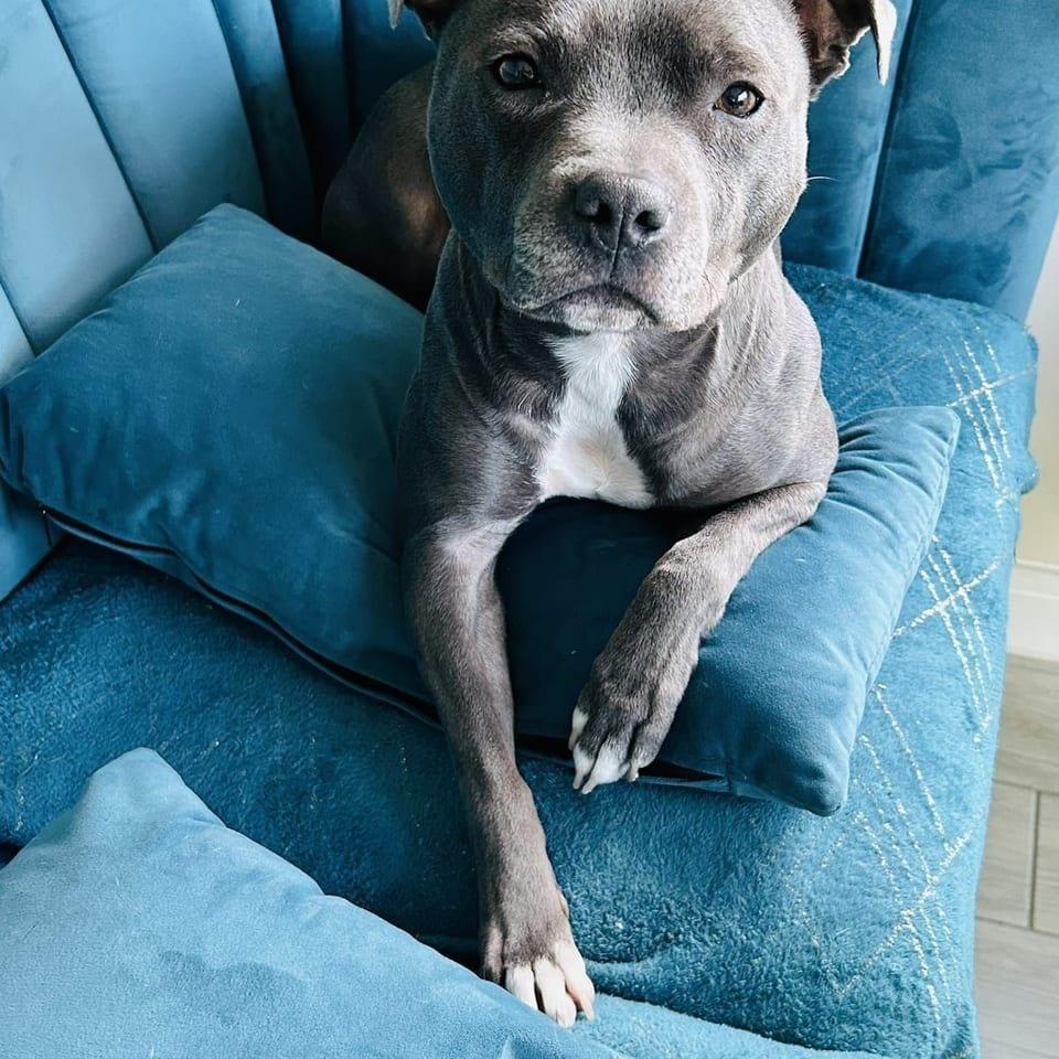 Skye