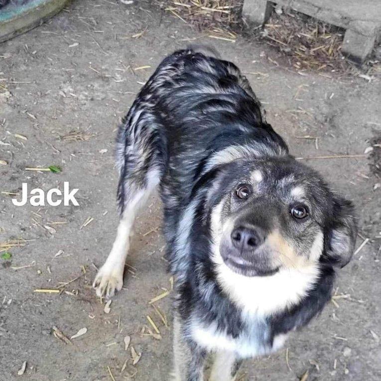 Jack
