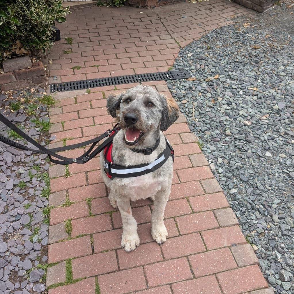 Bonnie