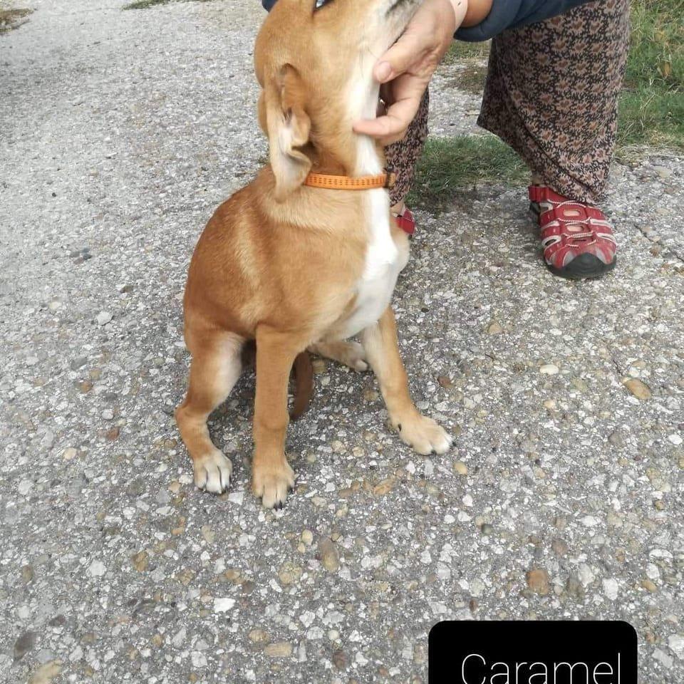 Caramel