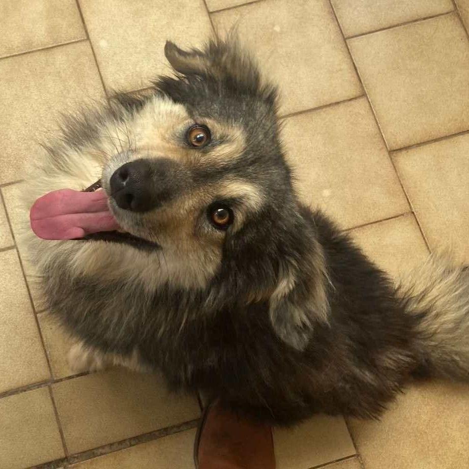 Baxter
