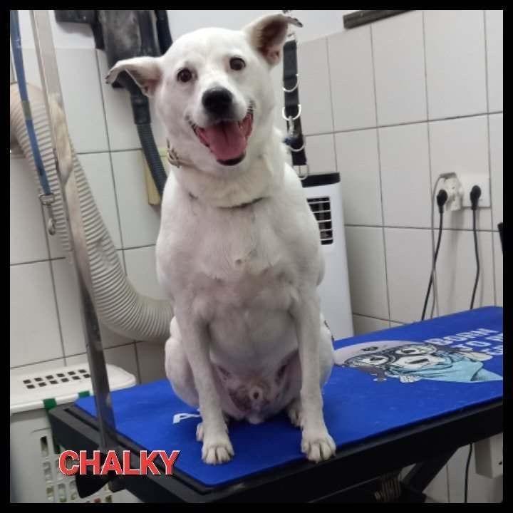 Chalky