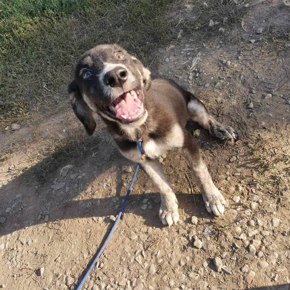 Buster