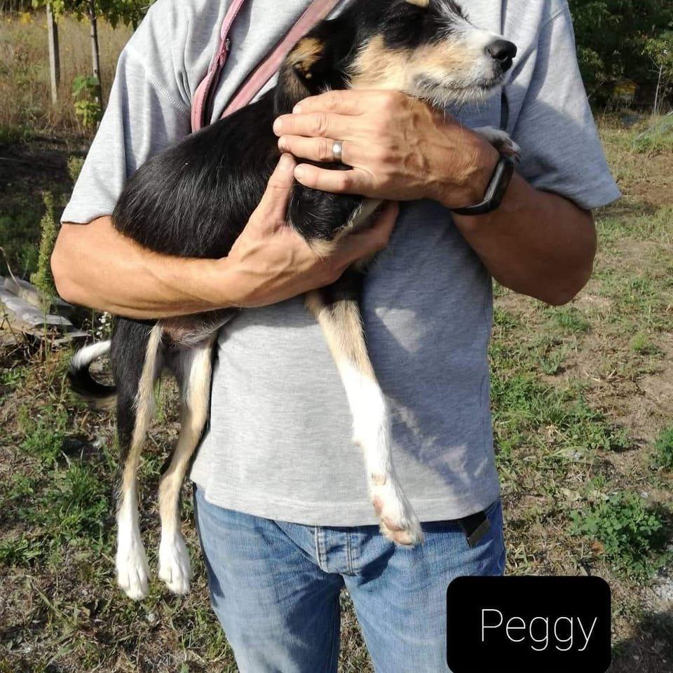 Peggy
