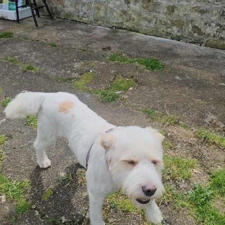 Max