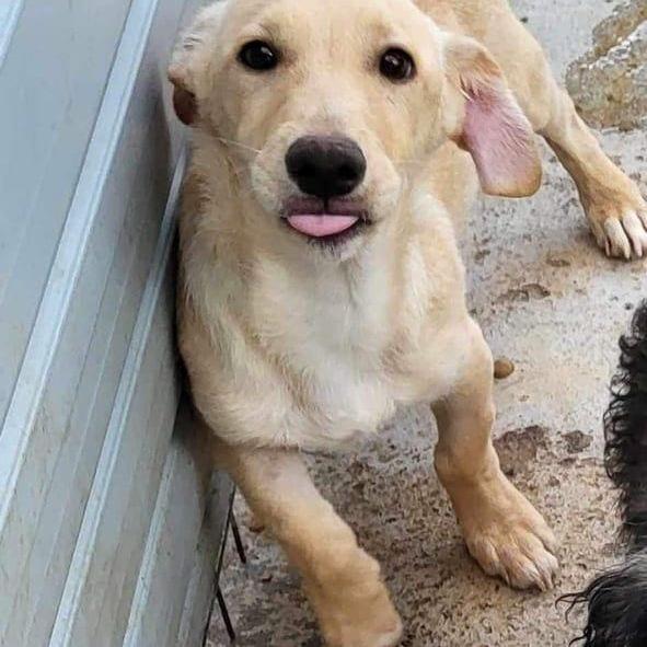 Charlie