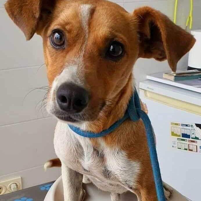 Rico