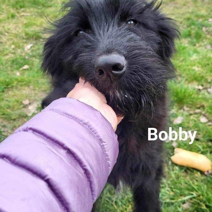 Bobby