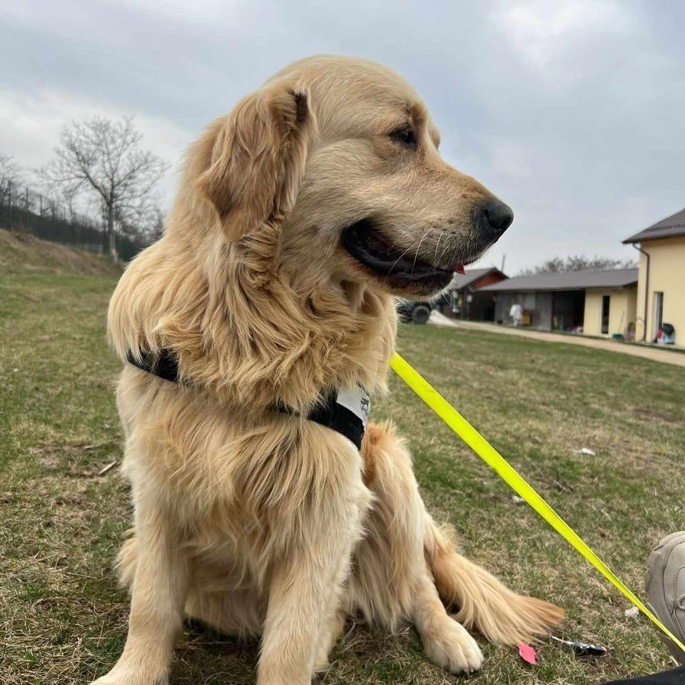 Oscar