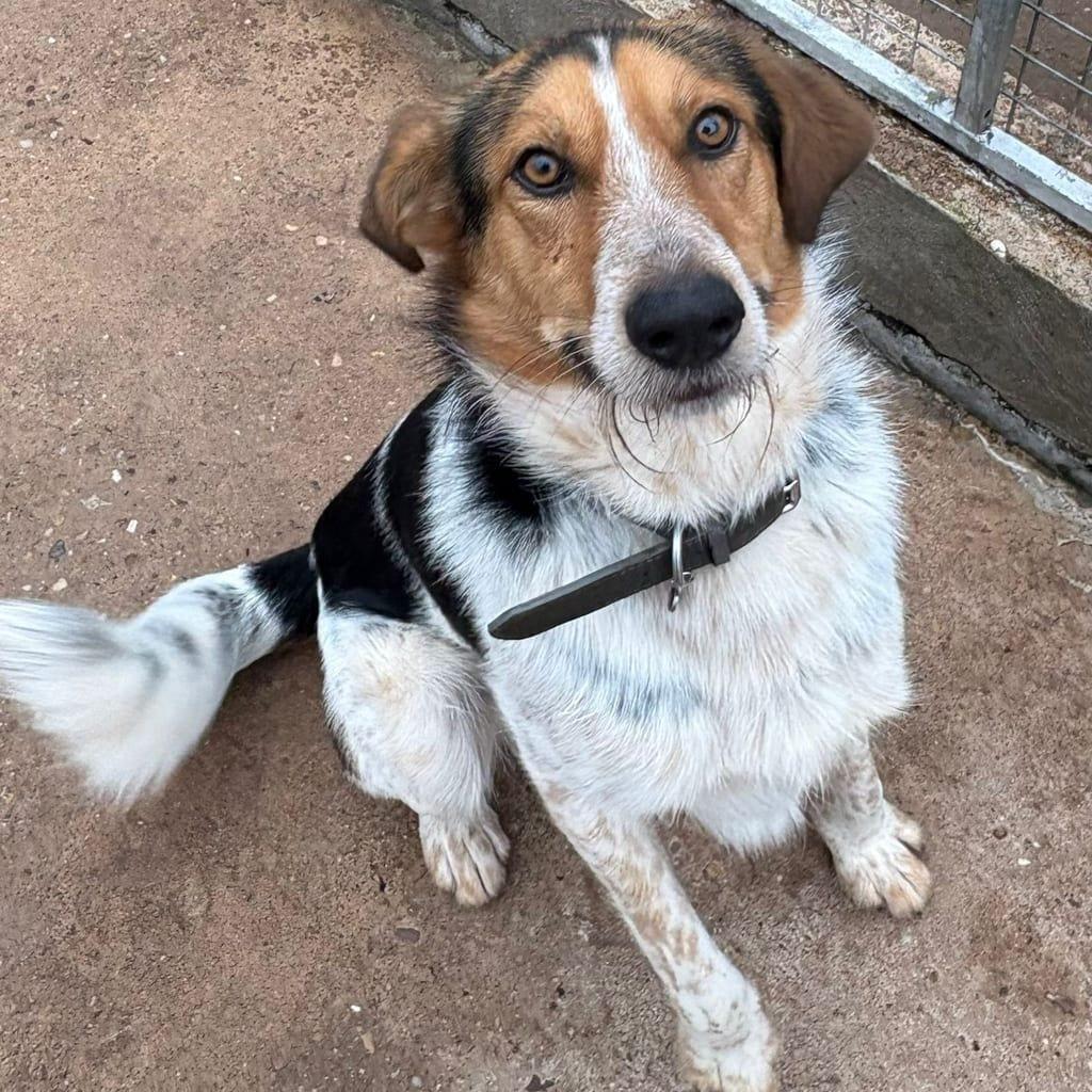 Max