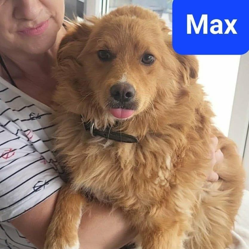 Max