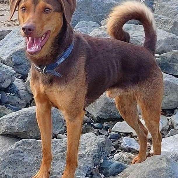 Milo
