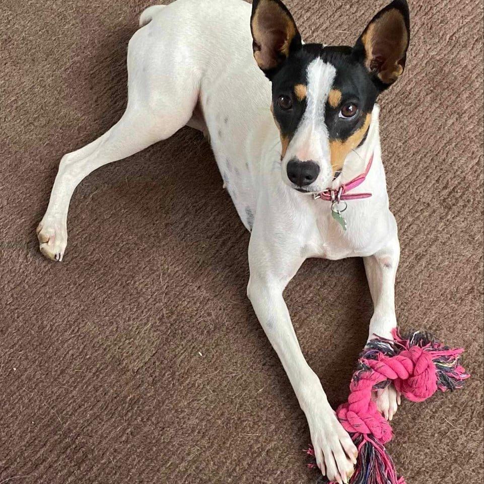 Della