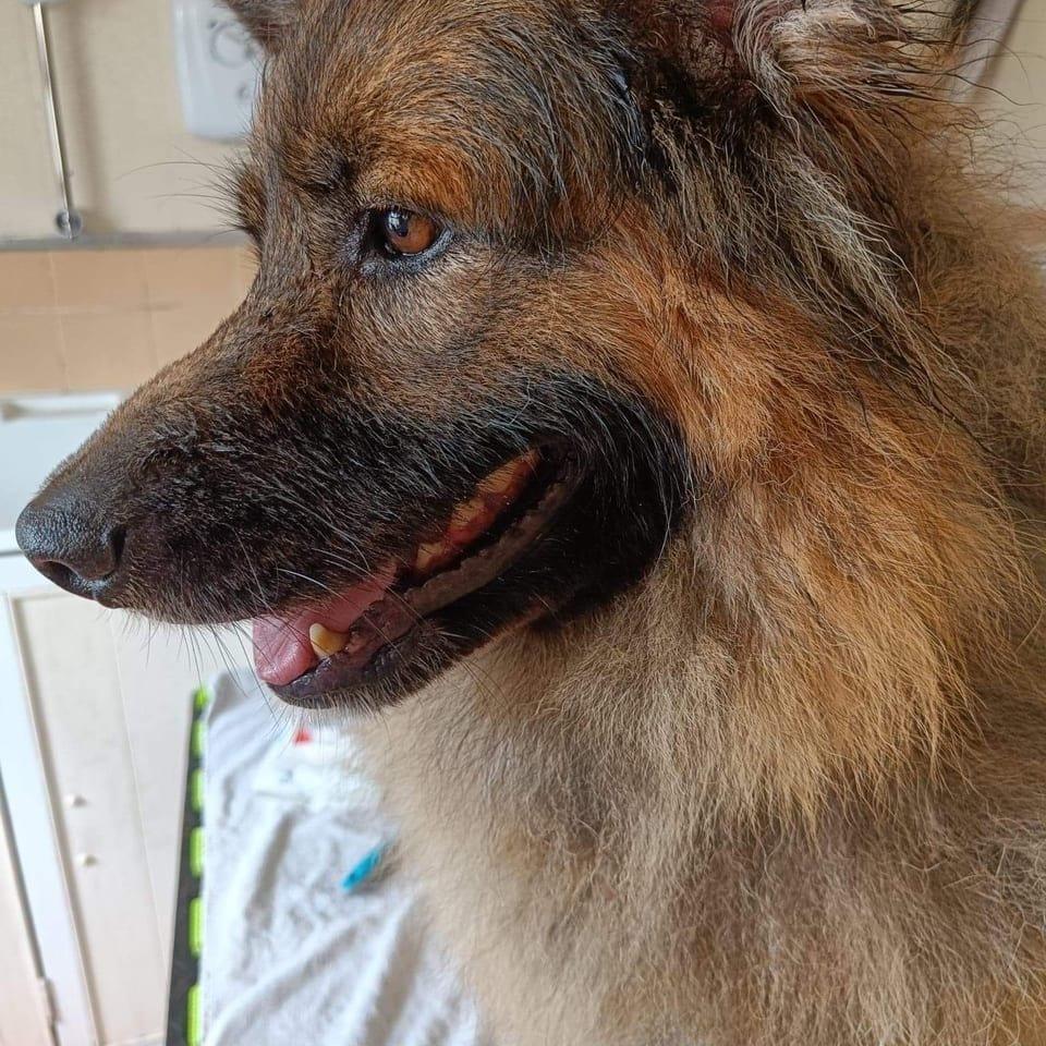 Max