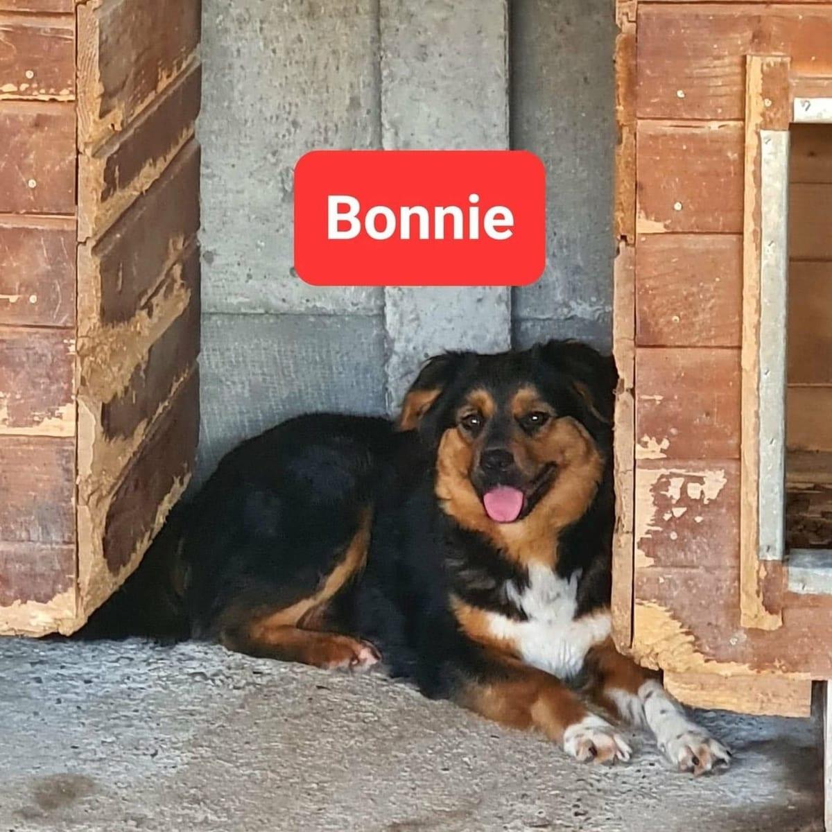 Bonnie