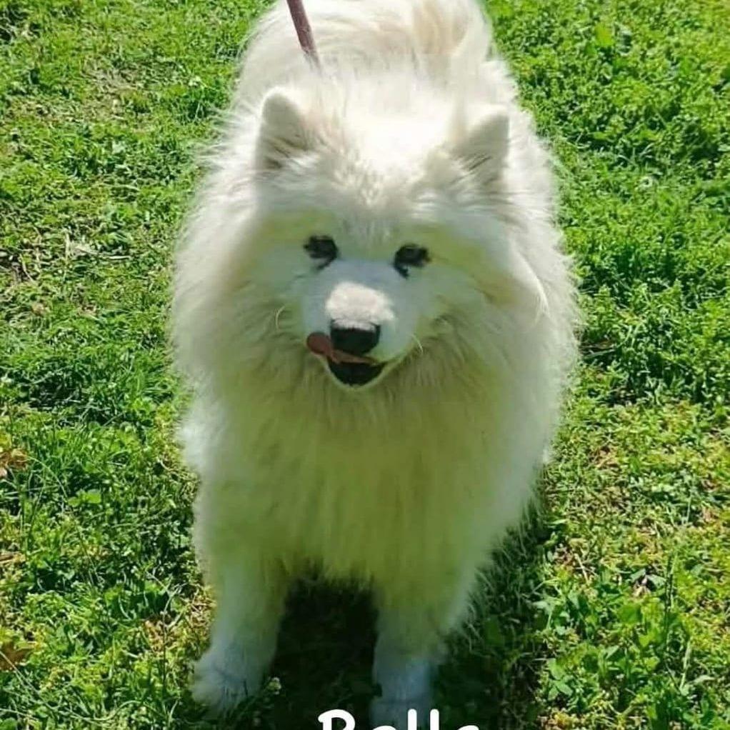 Bella