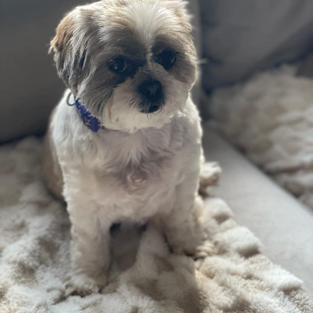 Lola