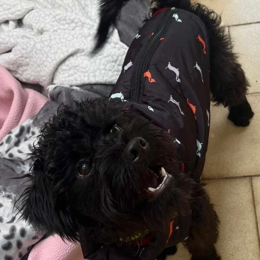 Bobby