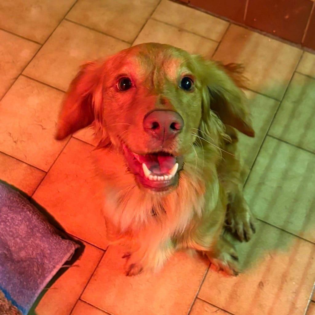 Max