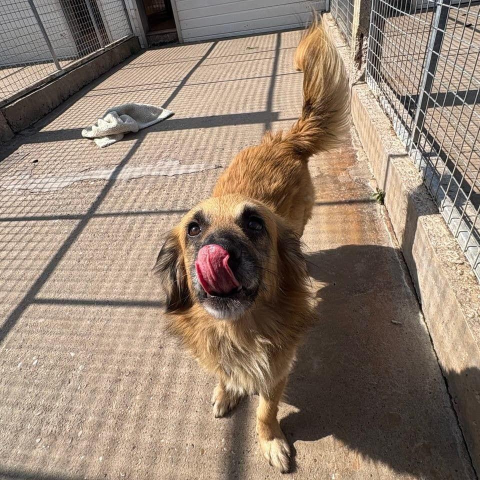 Sam