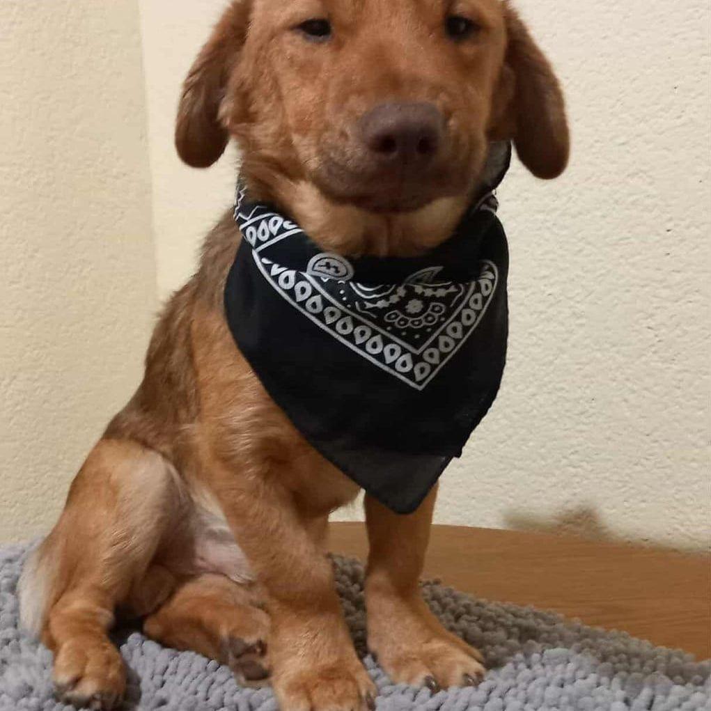 Buster