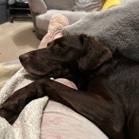 Beau