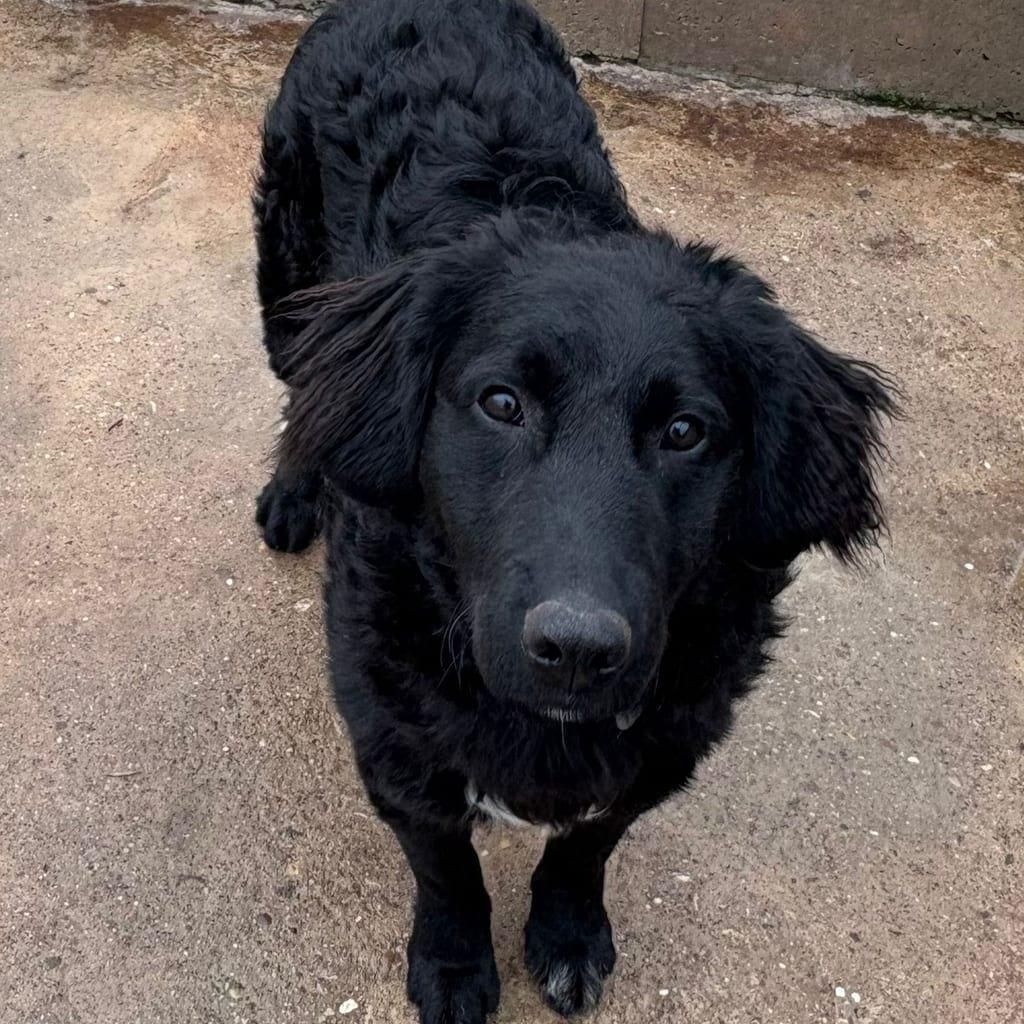 Max
